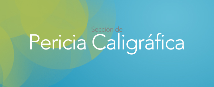 pericia 2