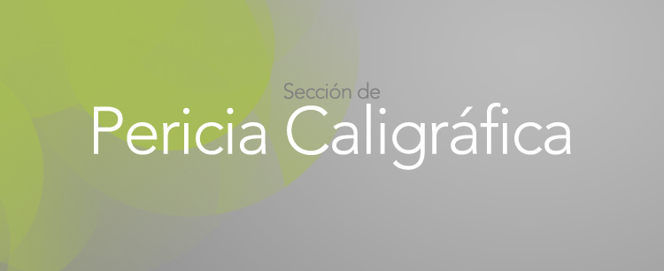 Pericia Caligráfica CABECERA
